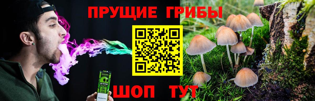 Трёхгорный  Галлюциногенные грибы мухоморы  Вход с VPN 